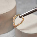 Hinged segment ring 18