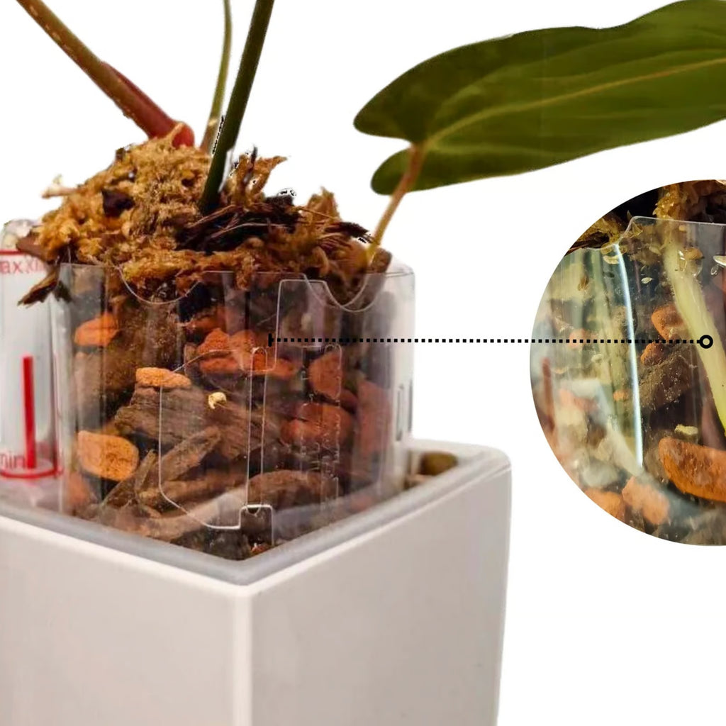 Pot extender