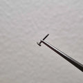 Labret silver