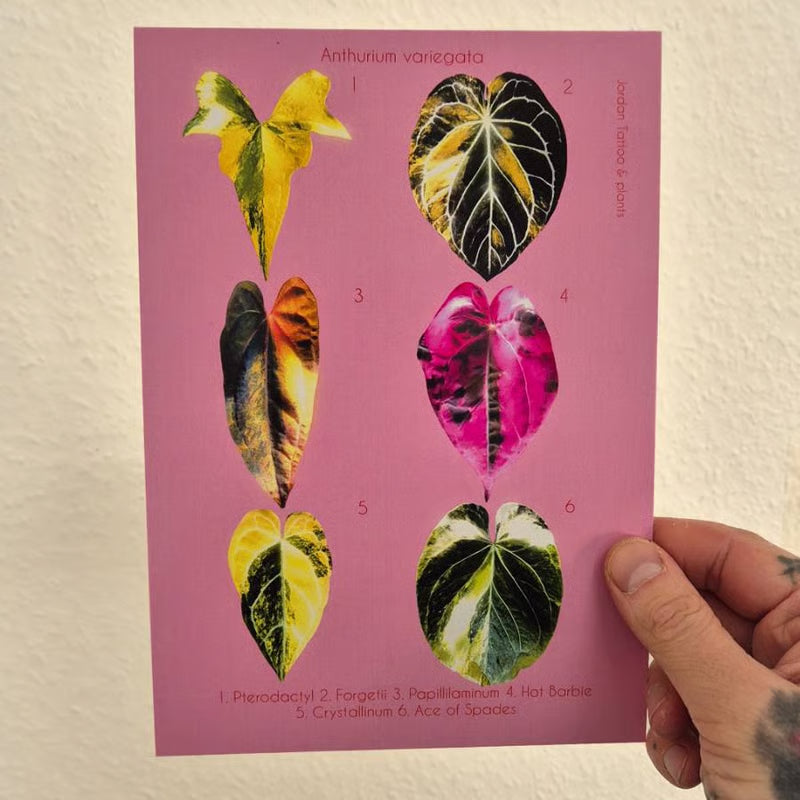 Botanical prints 148X210mm