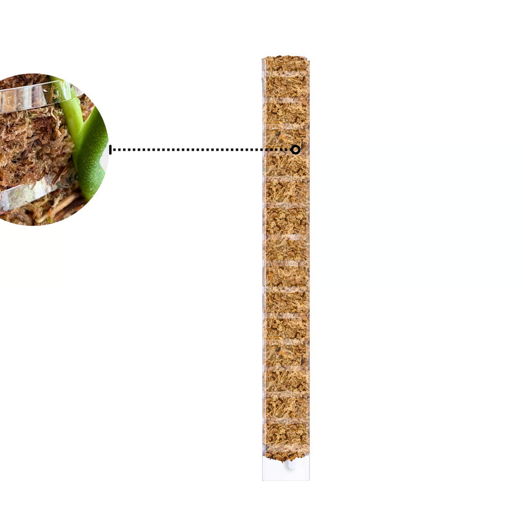Front opening moss pole