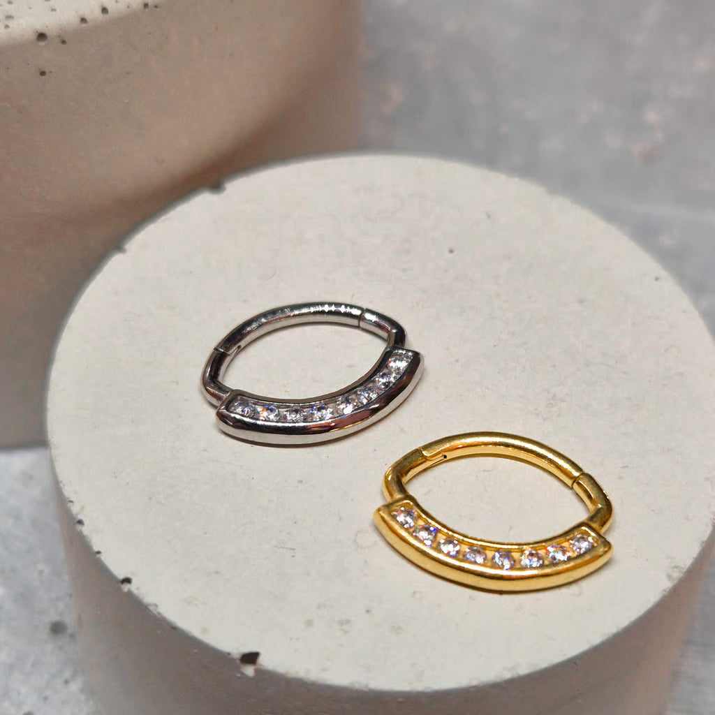 Hinged segment ring 08