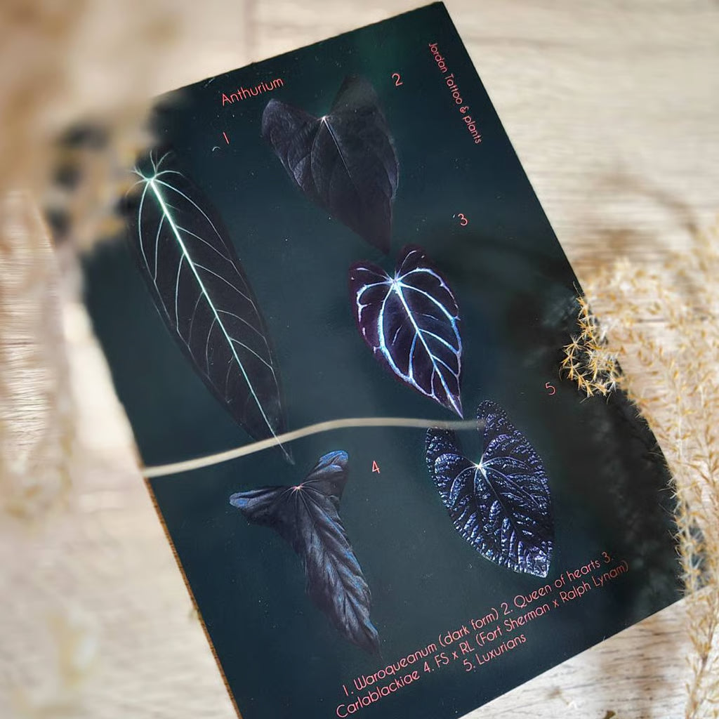 Botanical prints 148X210mm