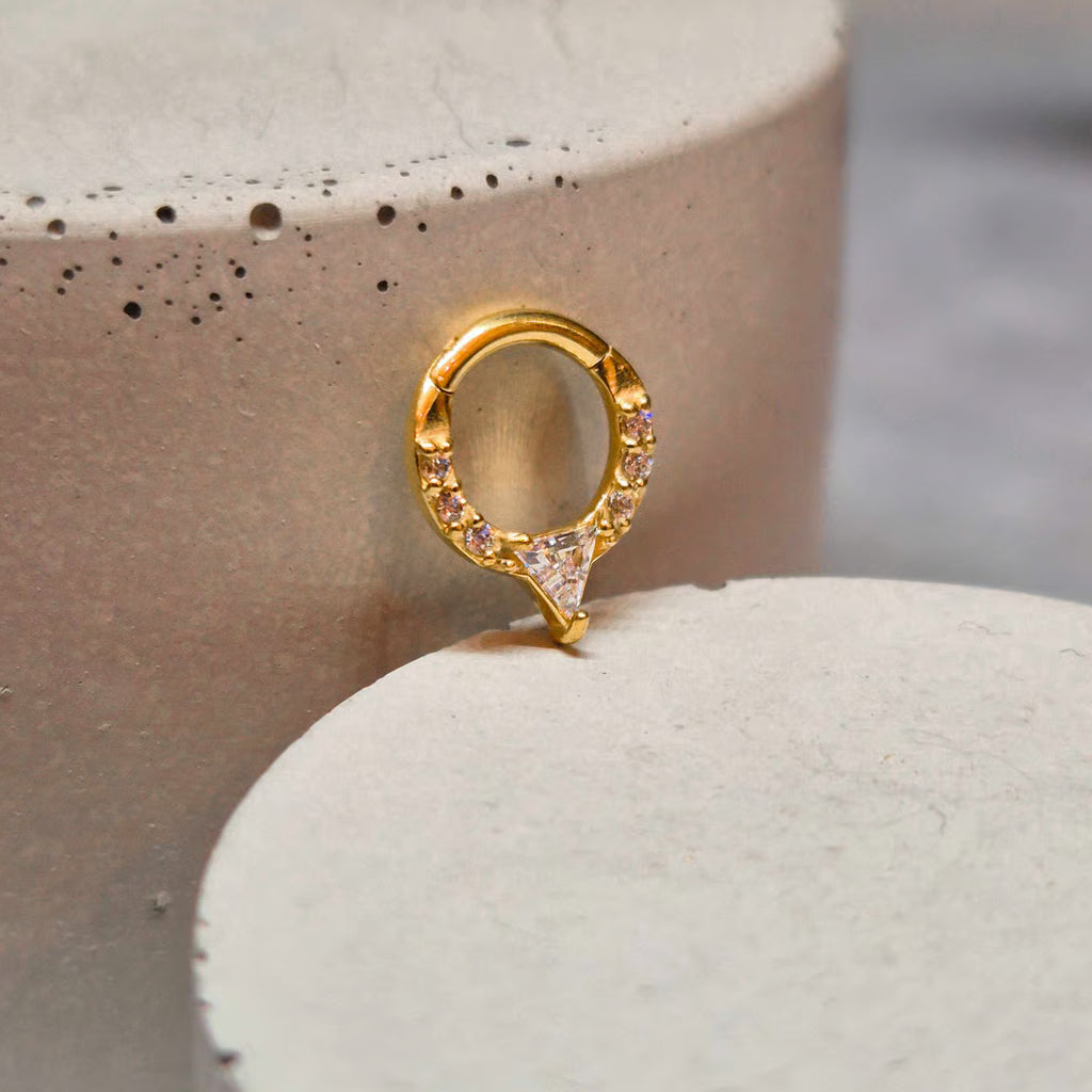 Hinged segment ring 03