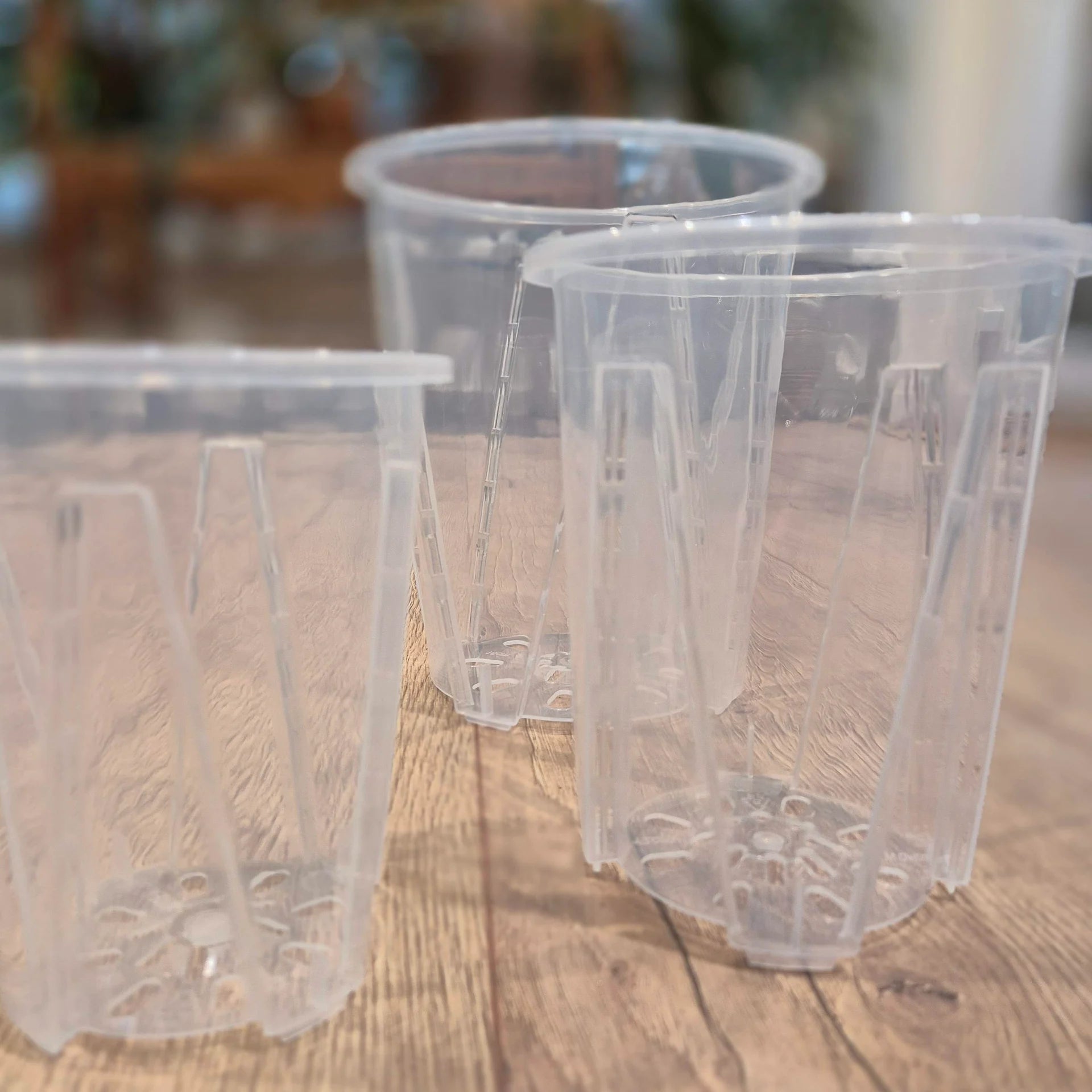 Transparent aroid pots