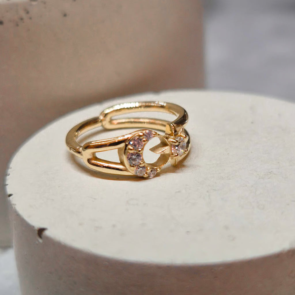 Hinged segment ring 14