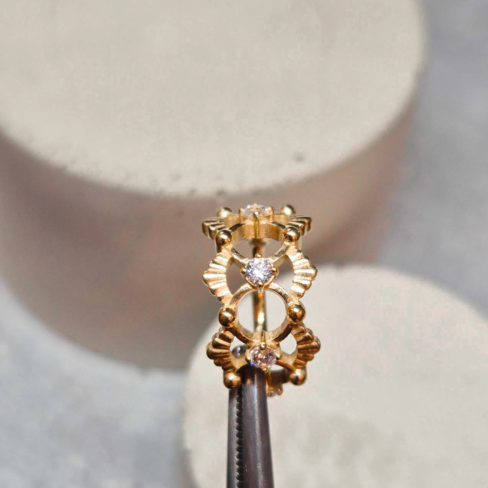 Hinged segment ring 13