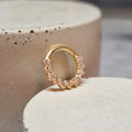 Hinged segment ring 10