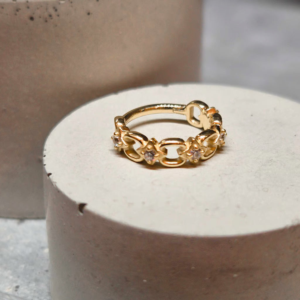 Hinged segment ring 13