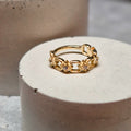 Hinged segment ring 13