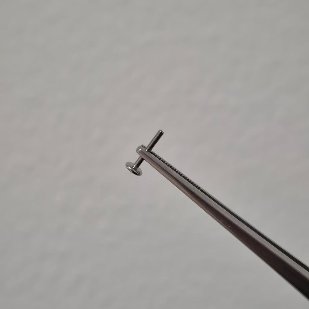 Internal labret
