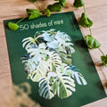 Botanical prints 24x30cm