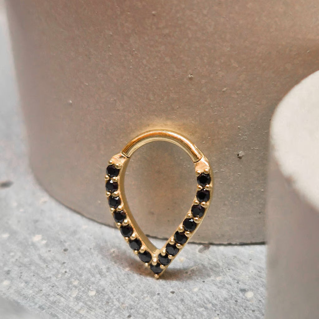 Hinged segment ring 18