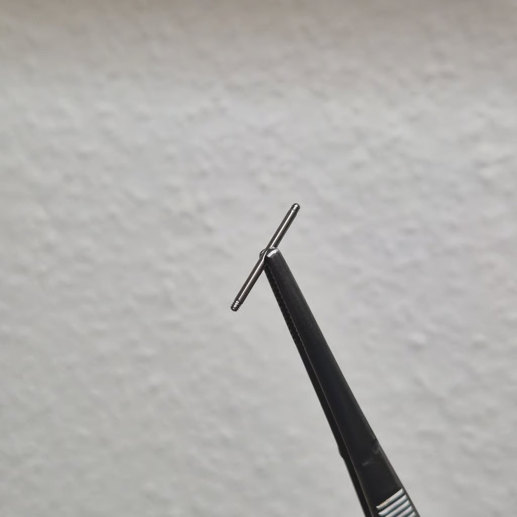 Barbell silver