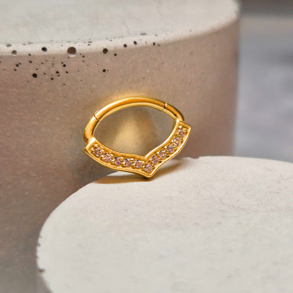 Hinged segment ring 16