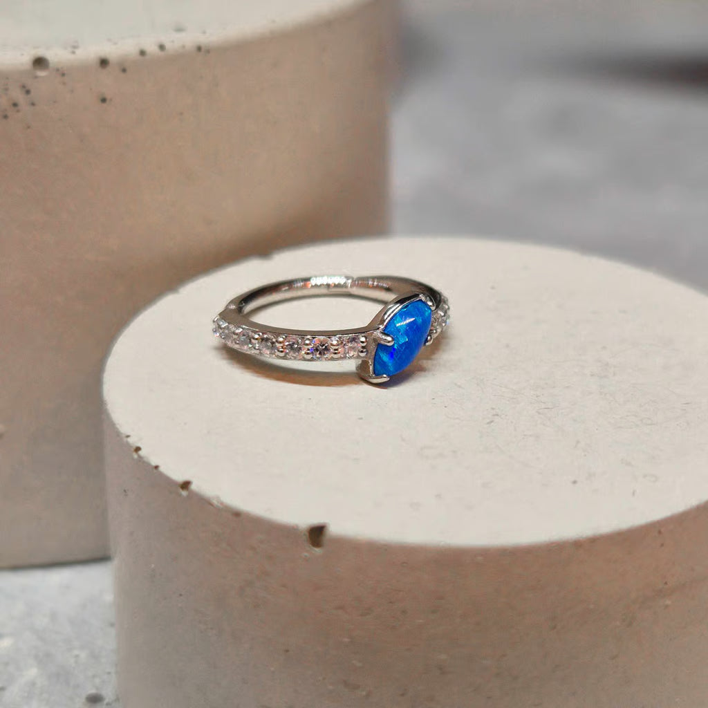 Hinged segment ring 27