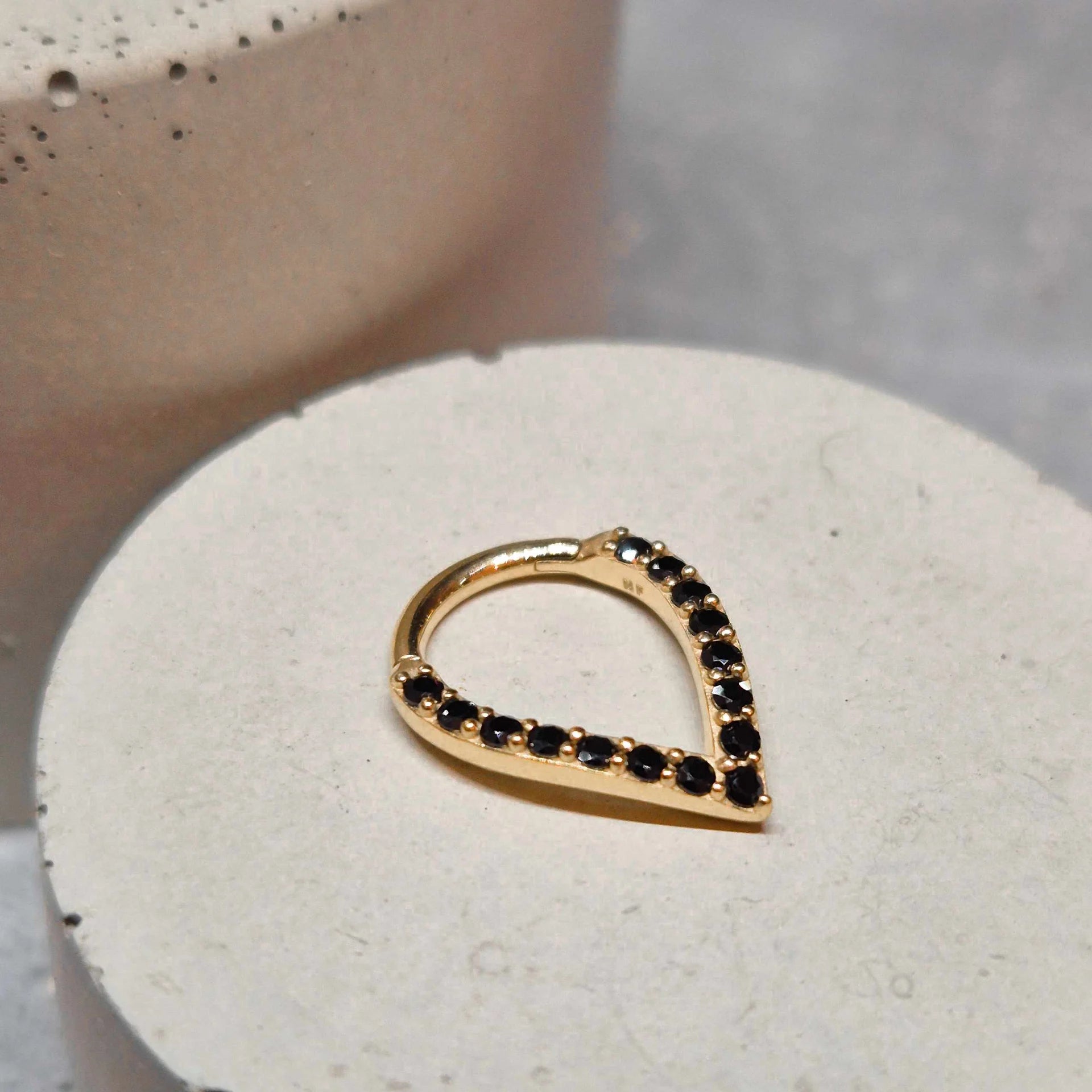 Hinged segment ring 18