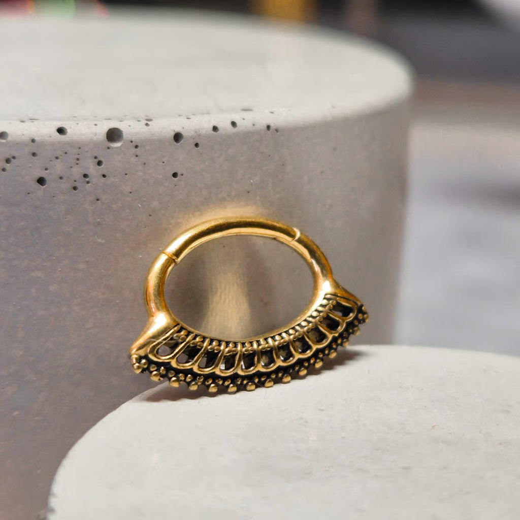 Hinged segment ring 05