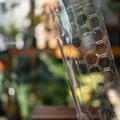 Moss pole crystal clear