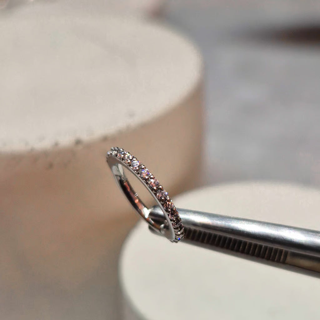 Hinged segment ring 02