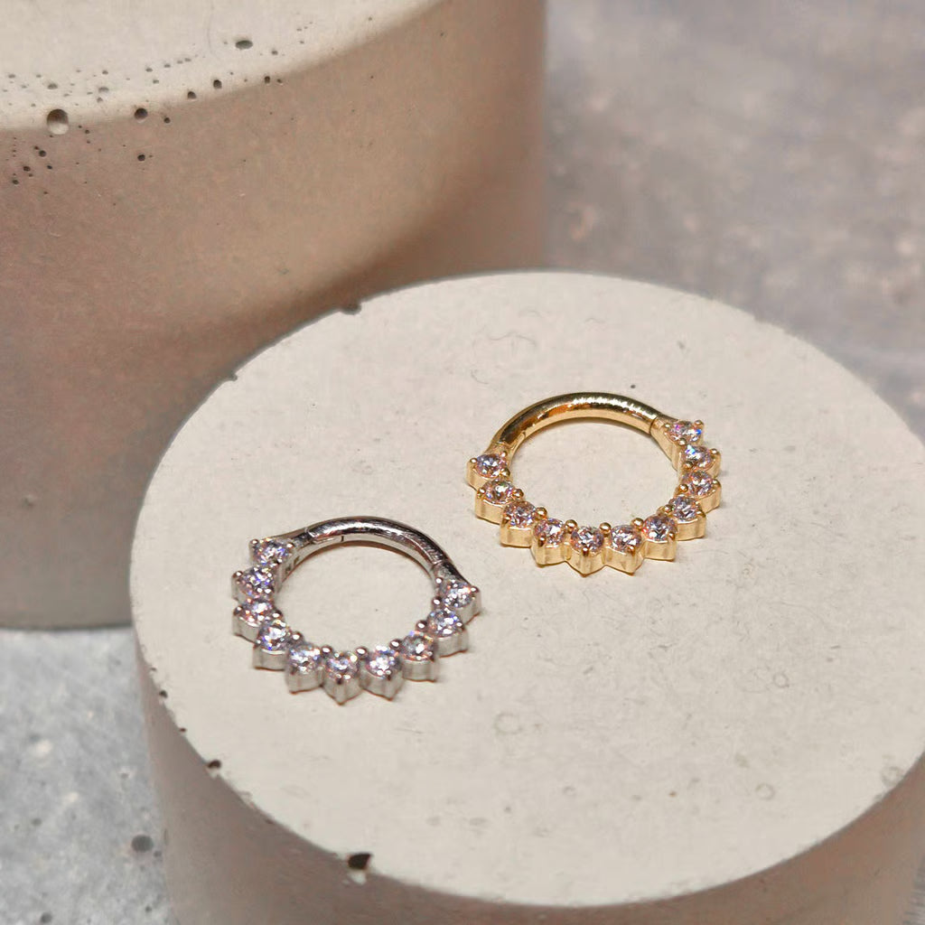 Hinged segment ring 10