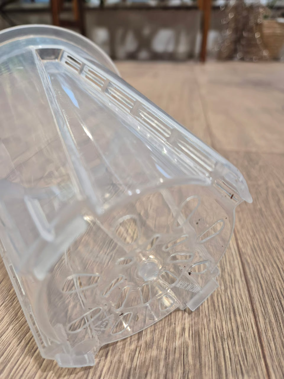 Transparent aroid pots