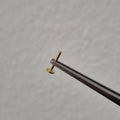 Internal labret
