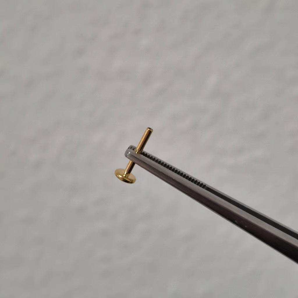 Internal labret