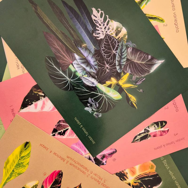 Botanical prints 148X210mm
