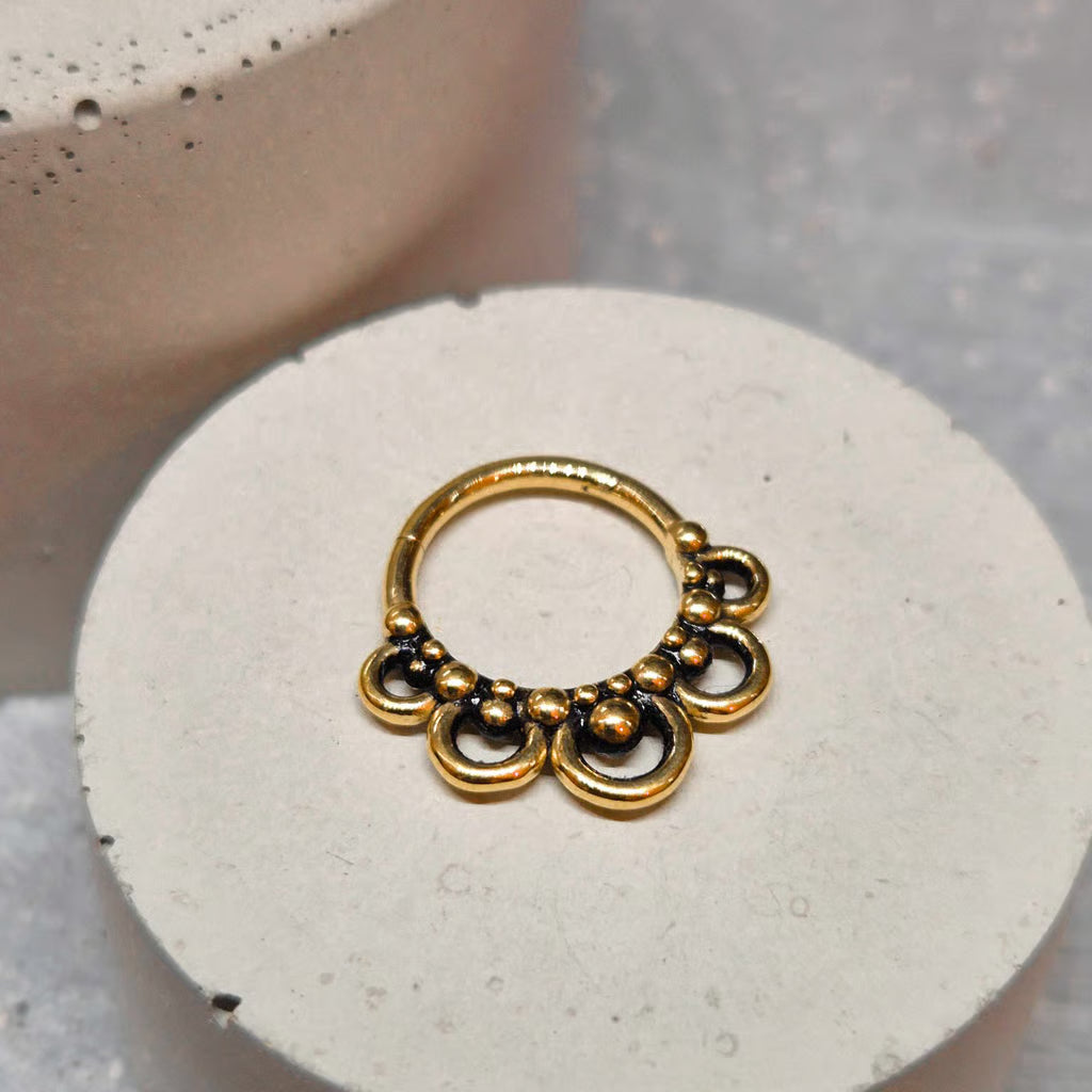 Hinged segment ring 04