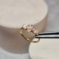 Hinged segment ring 11