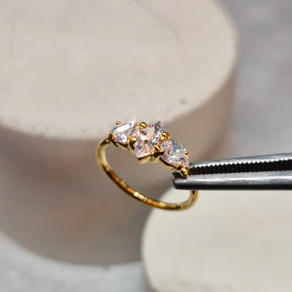 Hinged segment ring 11