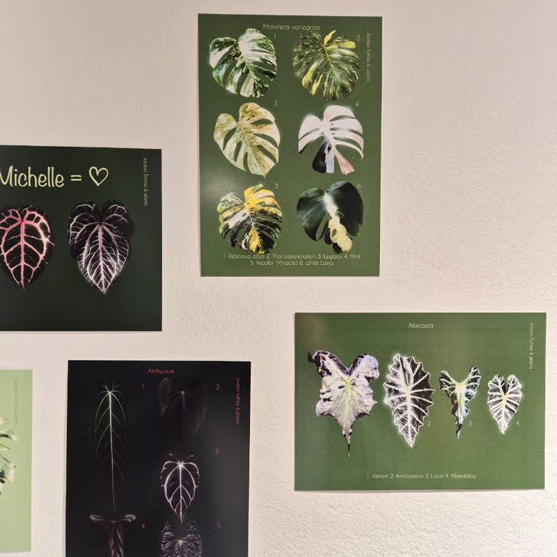 Botanical prints 148X210mm