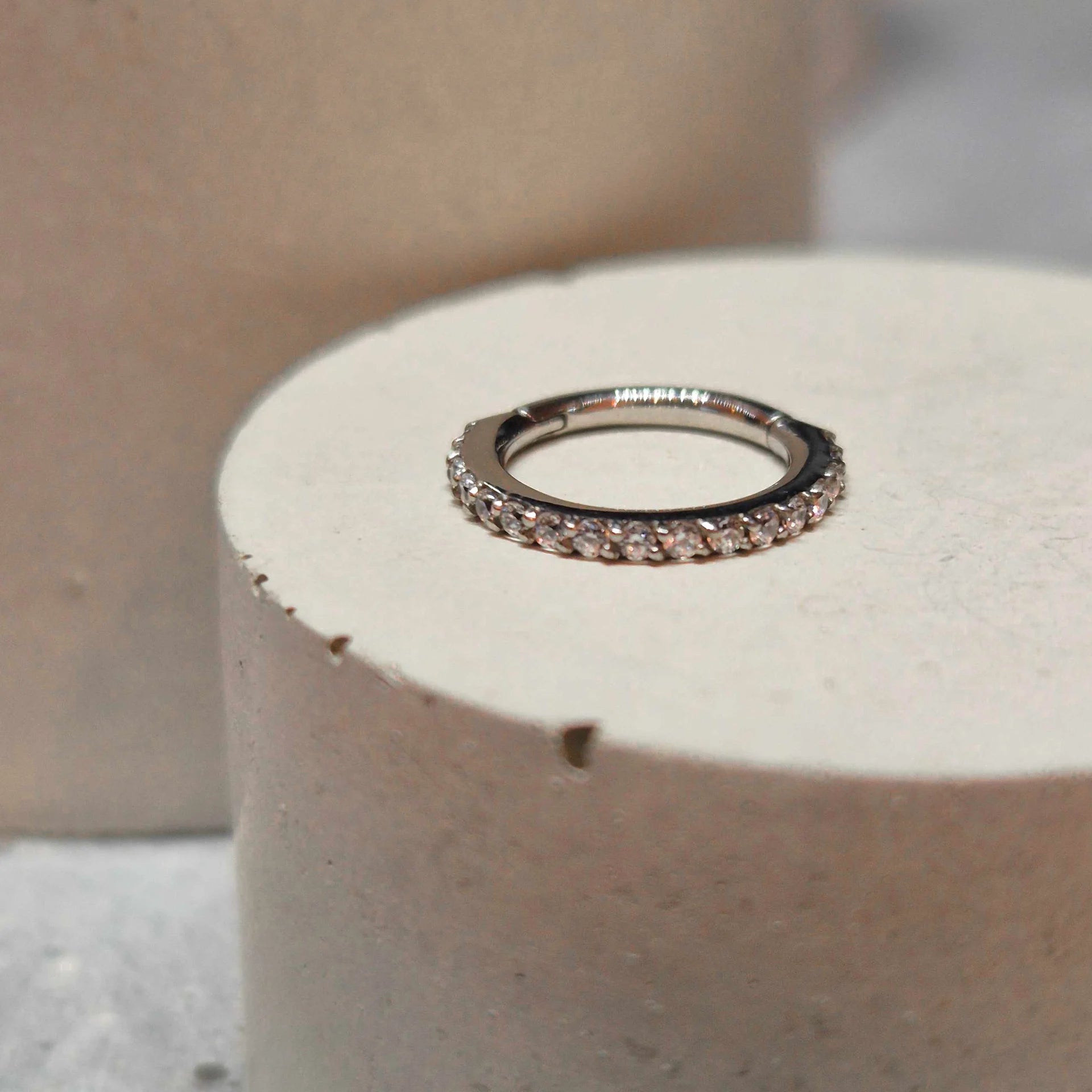 Hinged segment ring 02