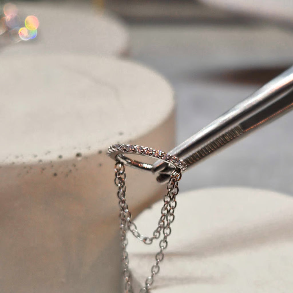 Hinged segment ring 29