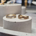 Hinged segment ring 31