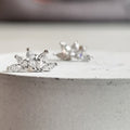 Shiny crown