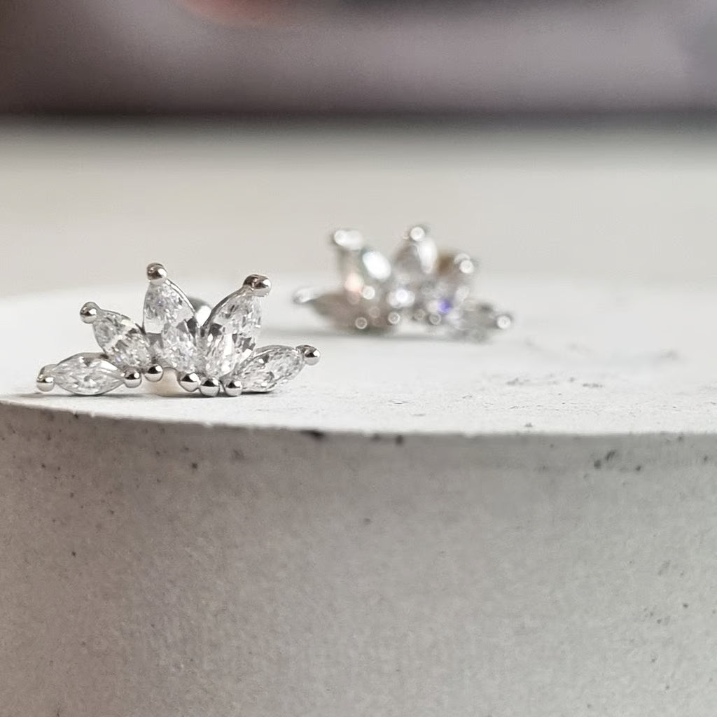 Shiny crown