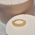 Hinged segment ring 23