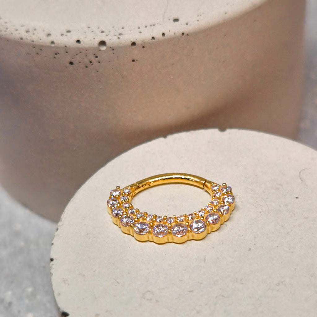 Hinged segment ring 23