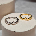Hinged segment ring 09