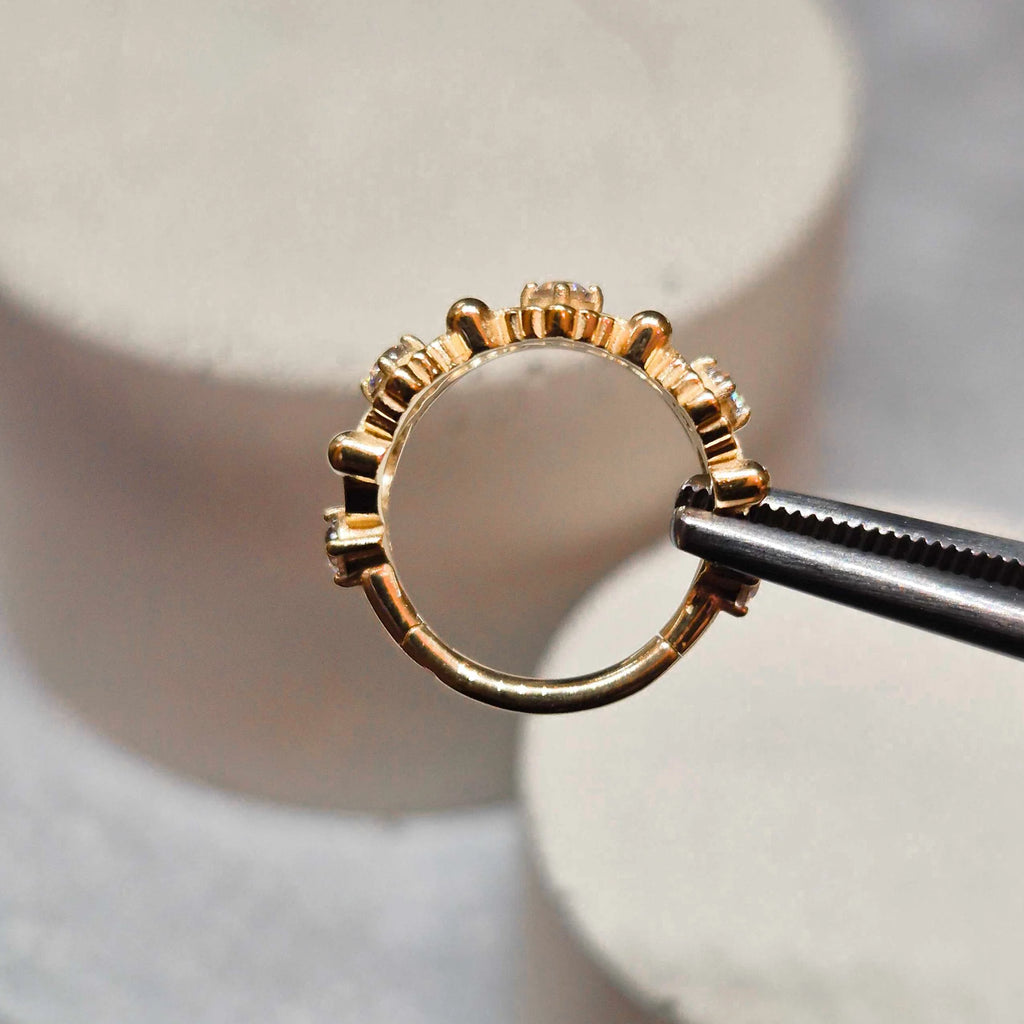 Hinged segment ring 13