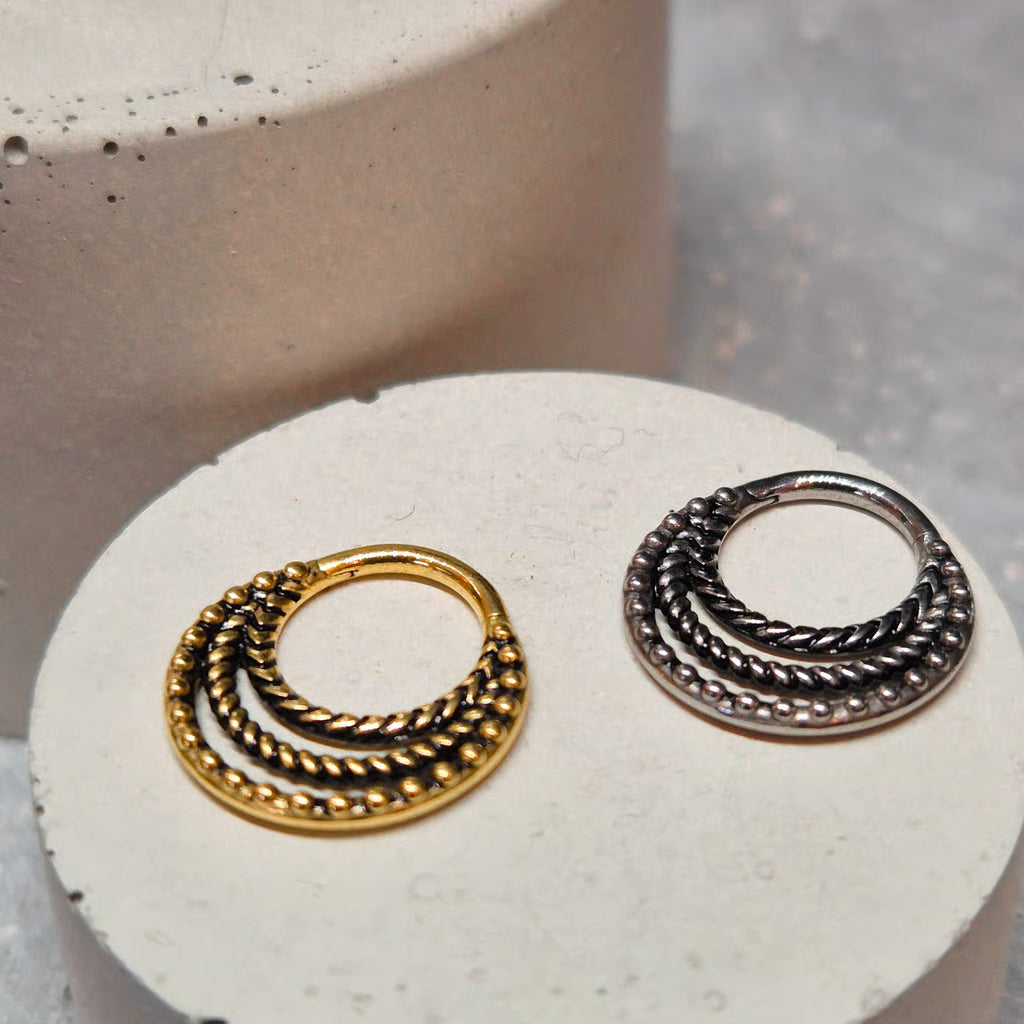 Hinged segment ring 07
