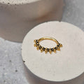 Hinged segment ring 06