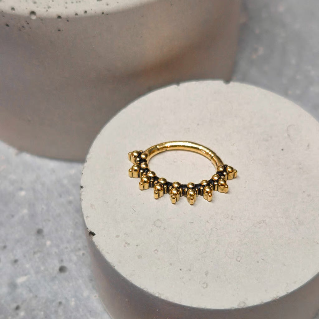Hinged segment ring 06