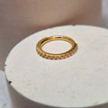 Hinged segment ring 02