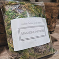 Sphagnum moss