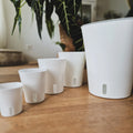 White self watering pots