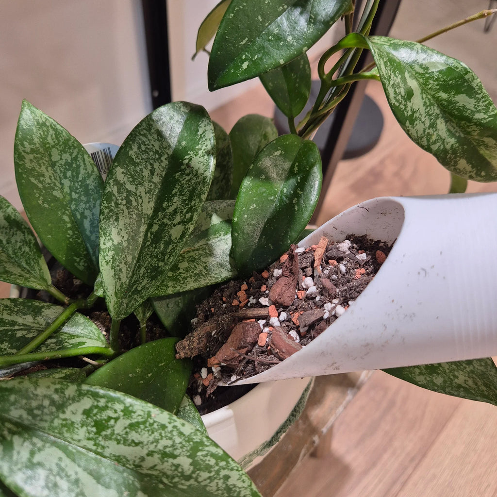 Substrate scoop