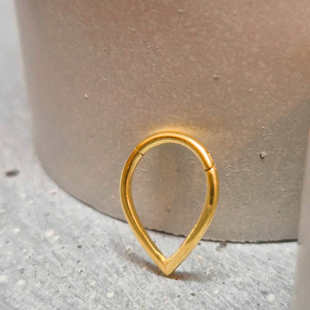 Hinged segment ring 19